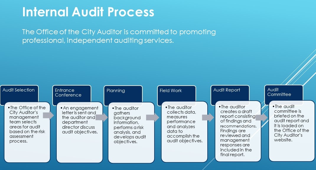 Audit Process Infographic
