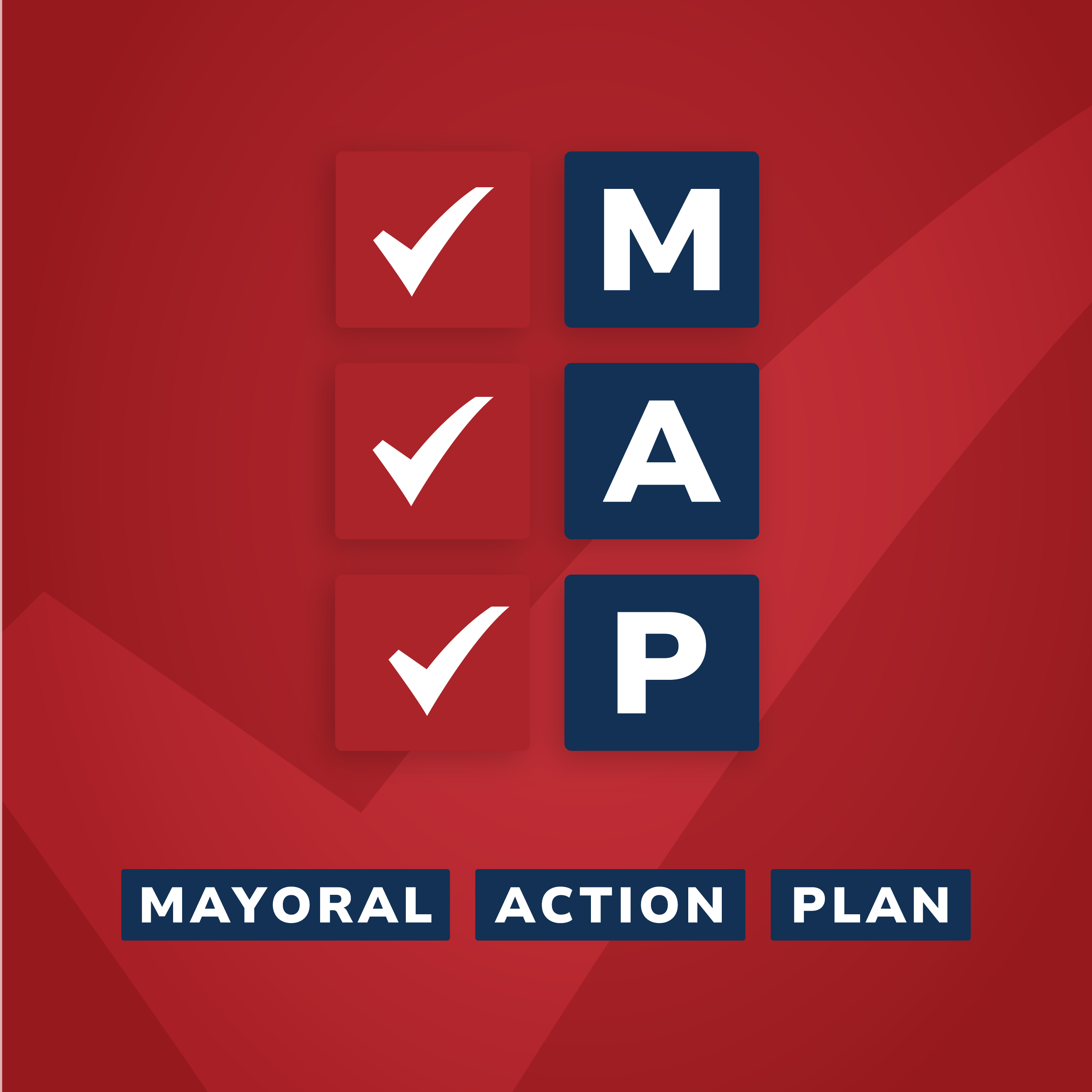 Mayoral Action Plan