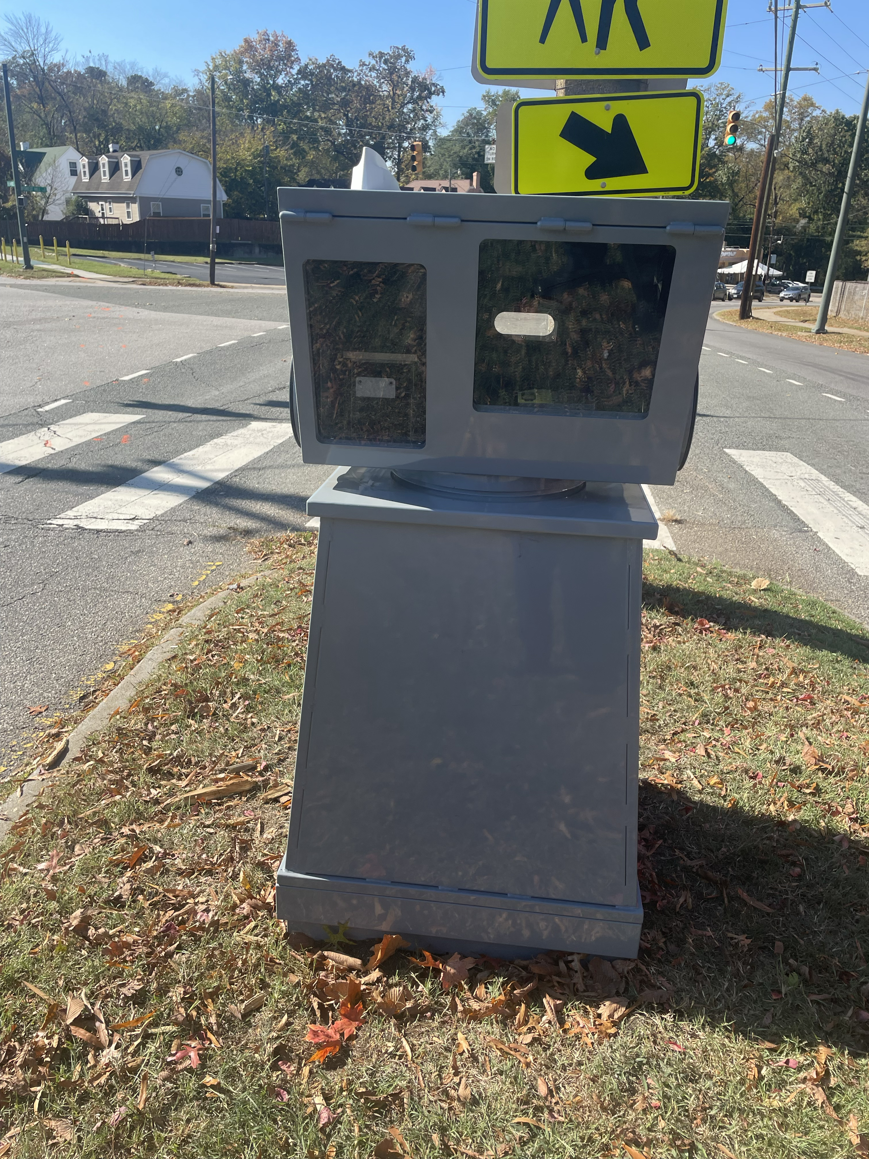 Safety Camera on Semmes Avenue