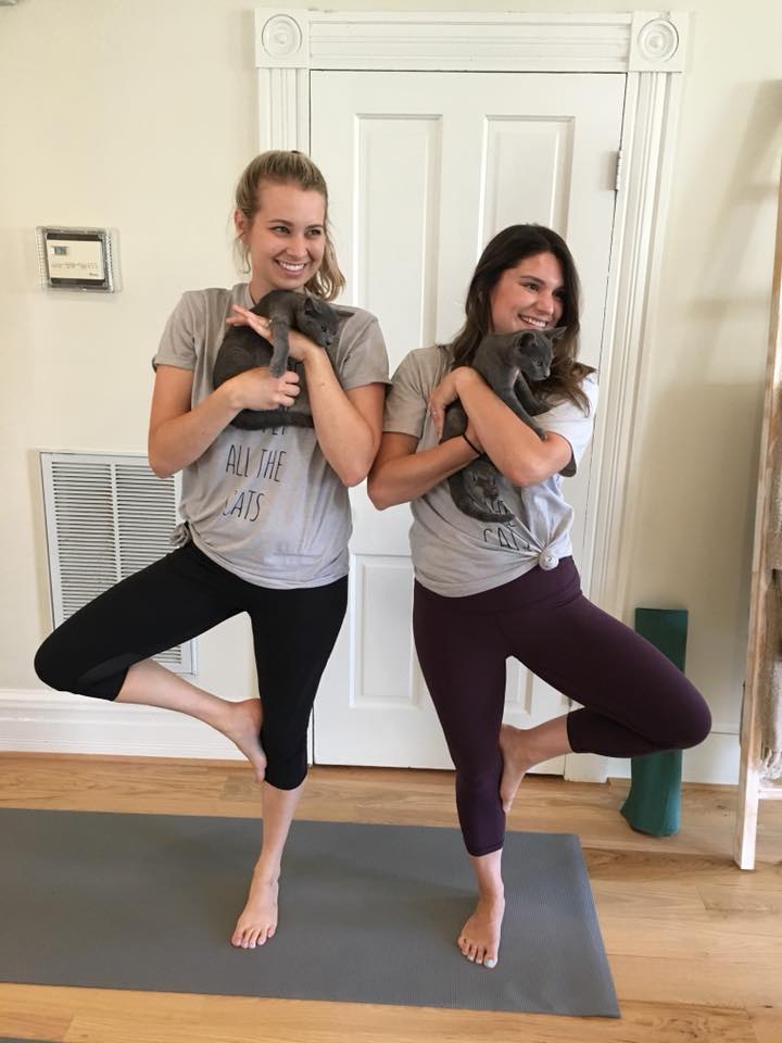 Yoga Cats