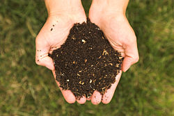 try composting